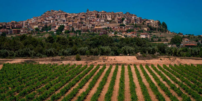 Terra Alta