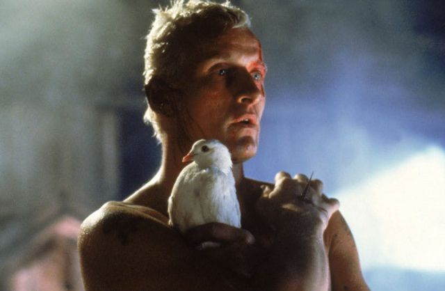 Artistas que fallecieron en 2019 2 Bauer, Rutger Hauer