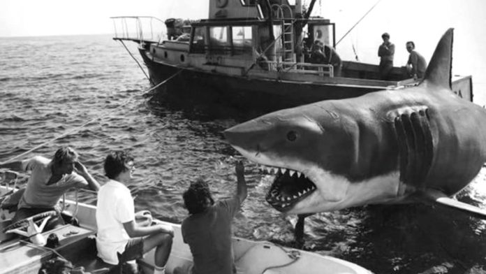 Jaws (Tiburón) 1975 Youtube