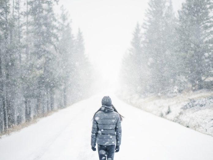Portada seleccionada para "la chica de nieve" de Javier Castillo
