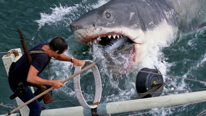 El tiburón contra Brody