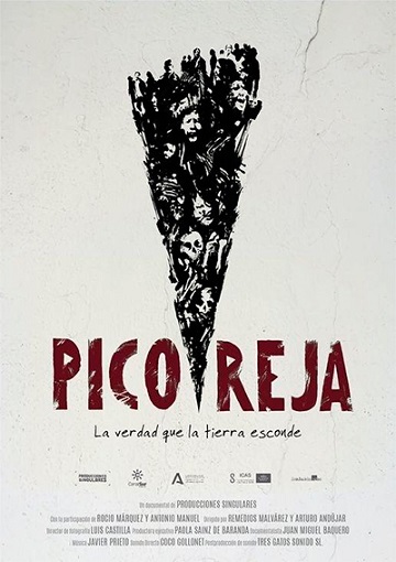 Pico Reja poster, the truth that the earth hides