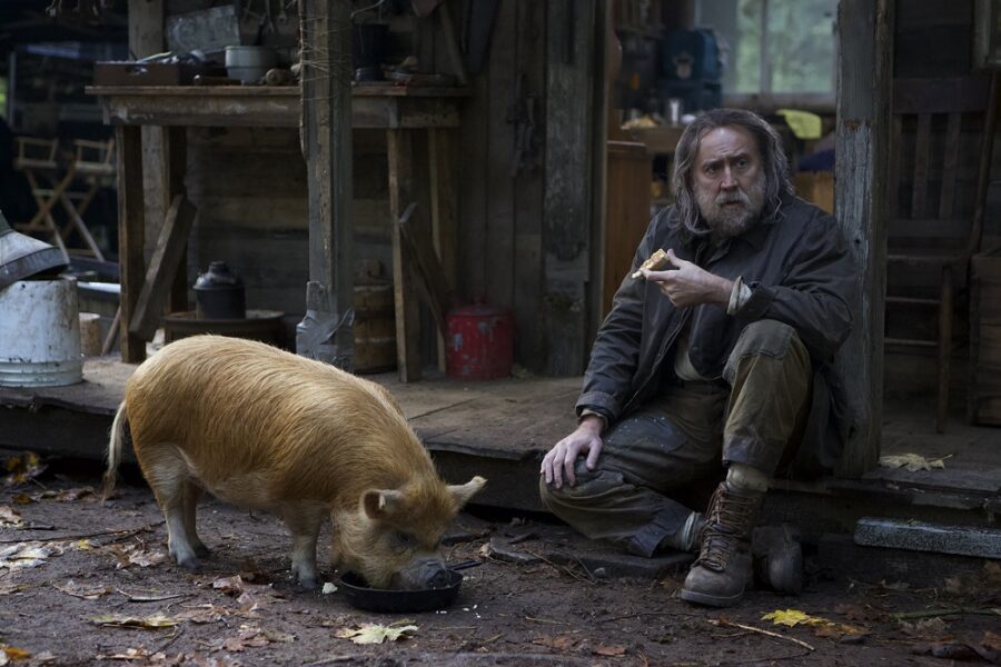 Pig y Rob